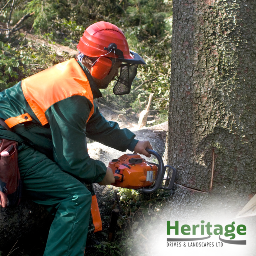 tree removal