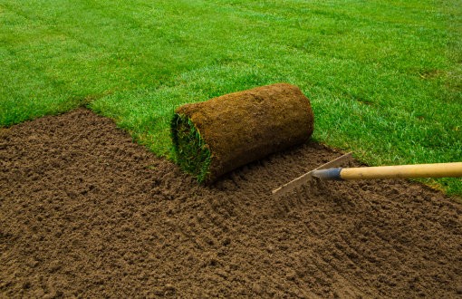 returf and lawn service in garden
