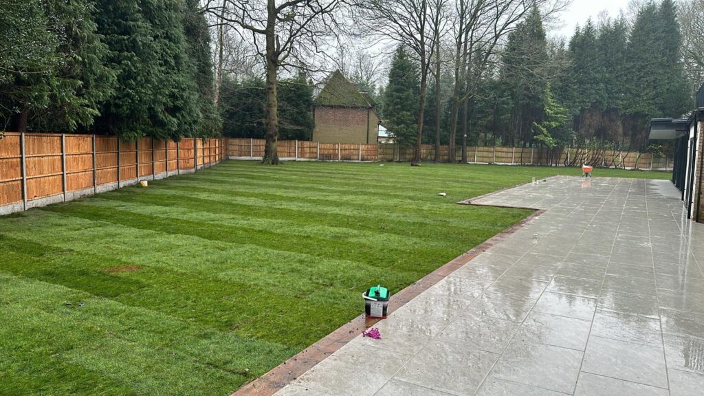 grass seed or turf