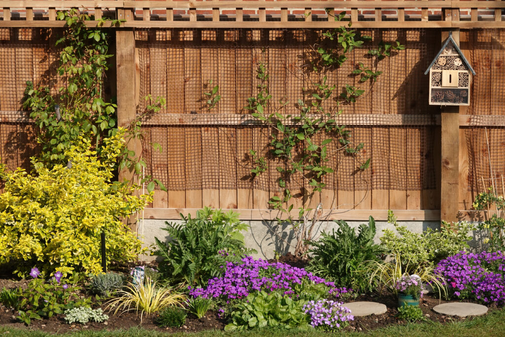 Cedar fencing in a sunny garden