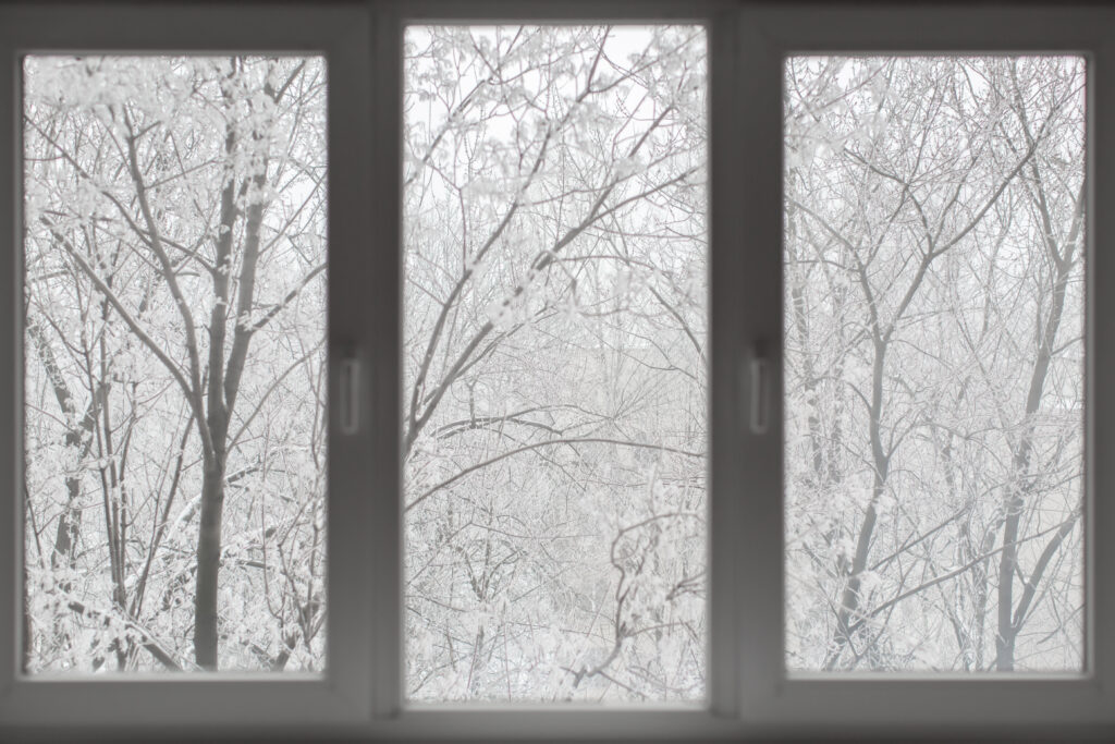 energy-efficient windows