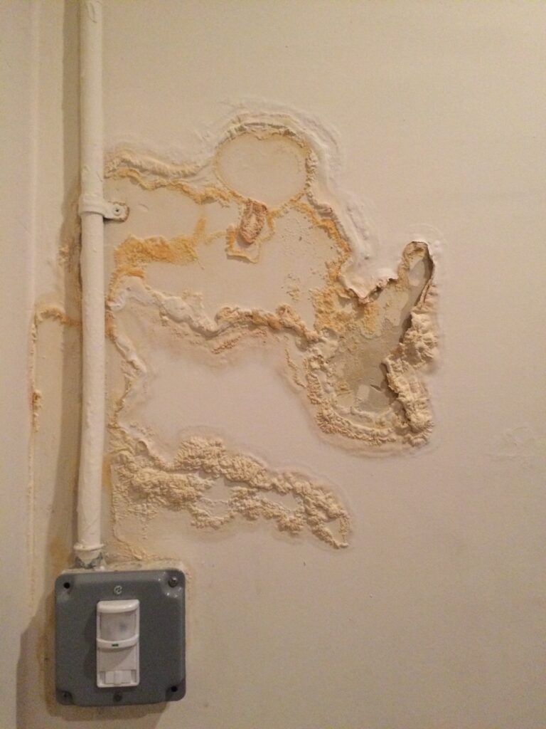 signs of damp