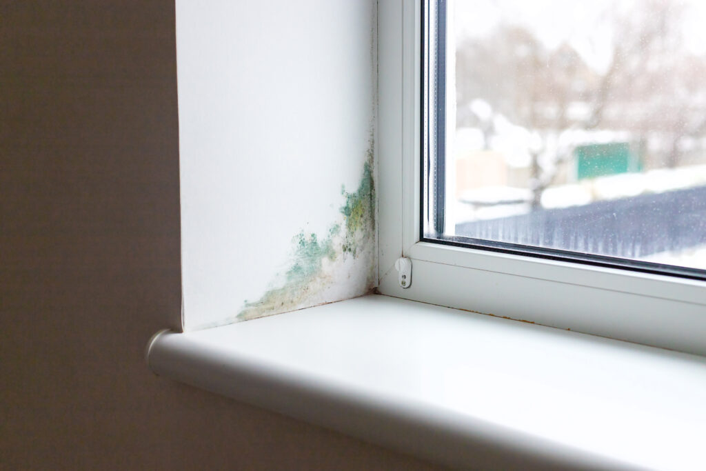 damp proofing